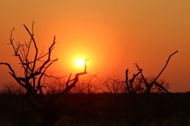 pf_couché de soleil_MG_1554