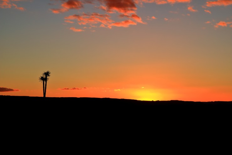 pf_couché soleil_MG_8435