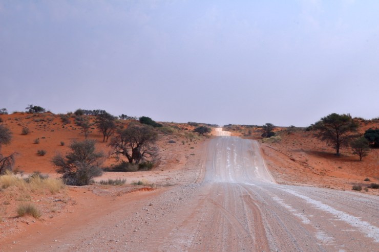 pf_piste C17_MG_8068