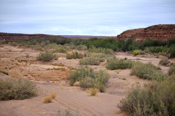 pf_rivière fish_MG_8175