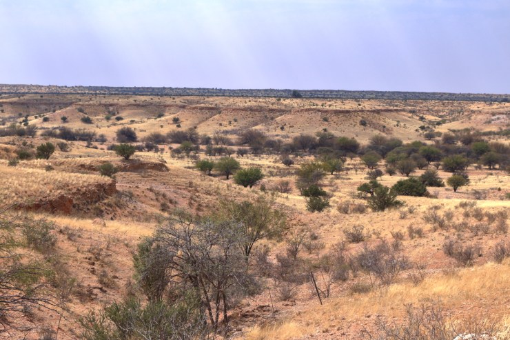 pf_vallée C15_MG_8031