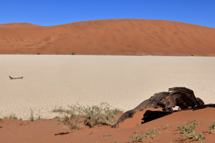 pf_deadvlei_MG_9296