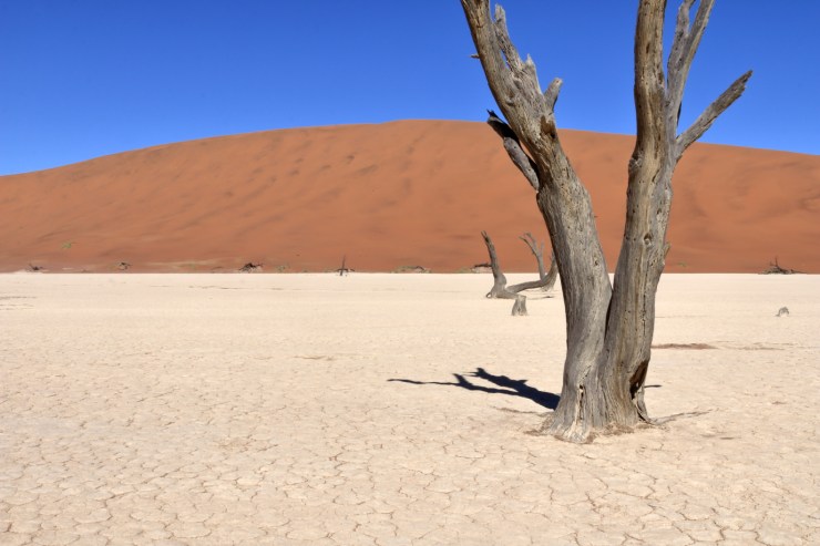 pf_deadvlei_MG_9324