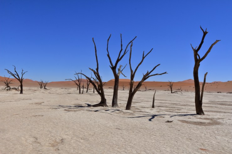 pf_deadvlei_MG_9334