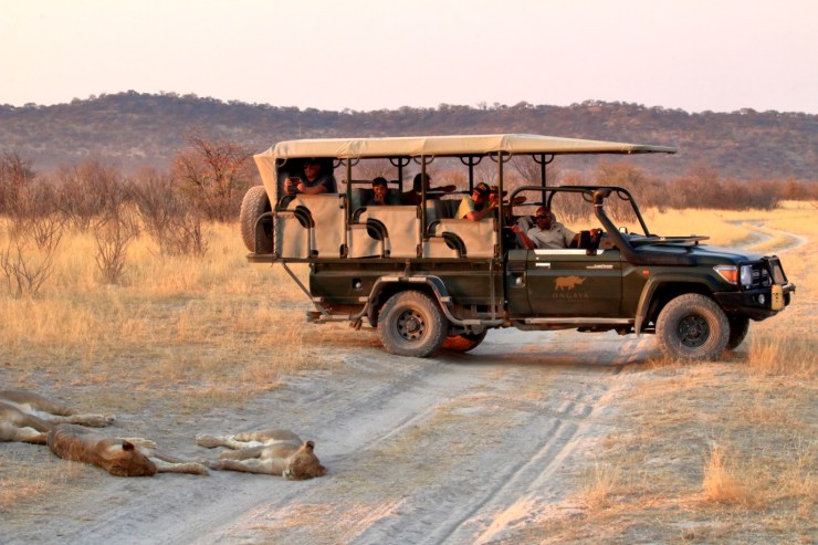 pf_locomotion_MG_1519