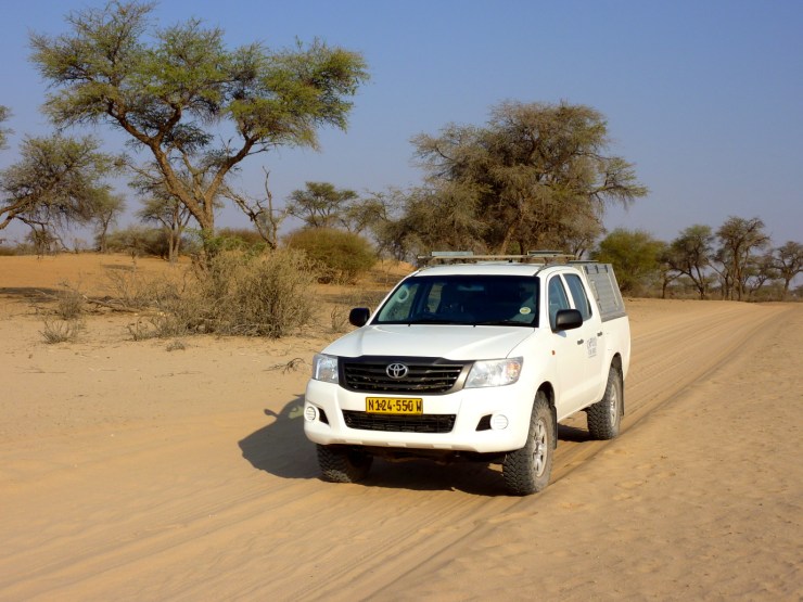 pf_locomotion_P1300837