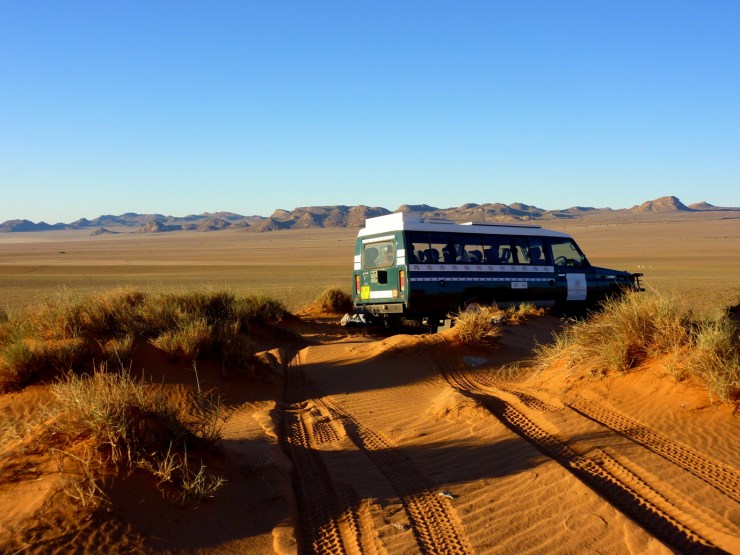 pf_locomotion_P1310416