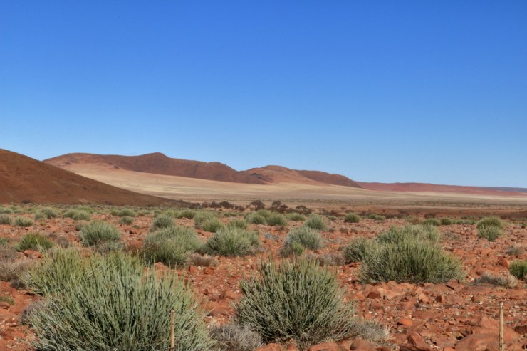 pf_paysage D707_MG_8905