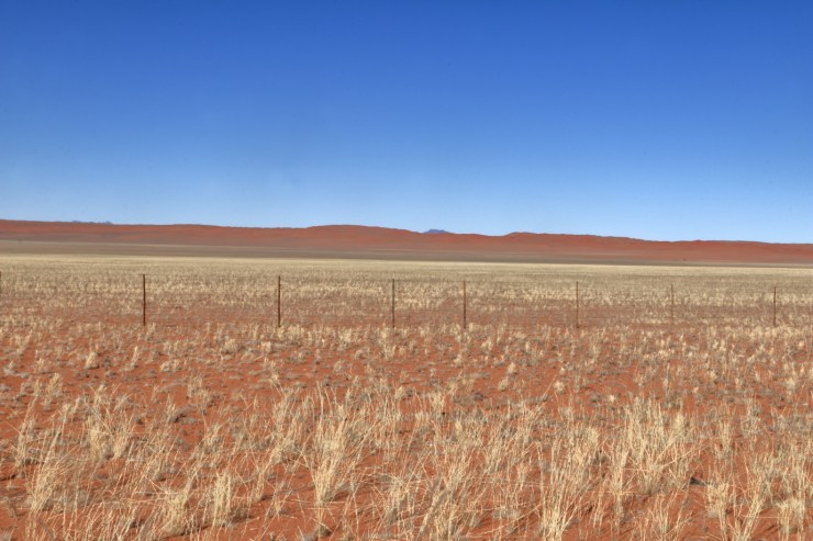 pf_paysage_MG_8926