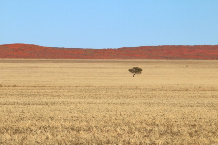 pf_paysage_MG_8942