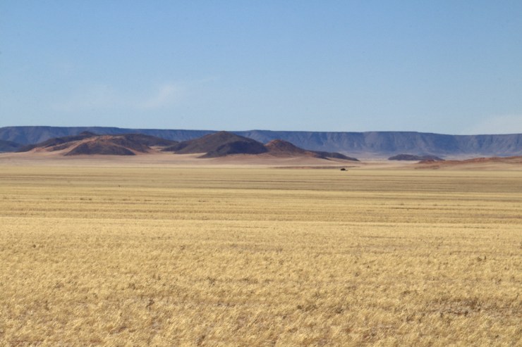 pf_paysage_MG_8951