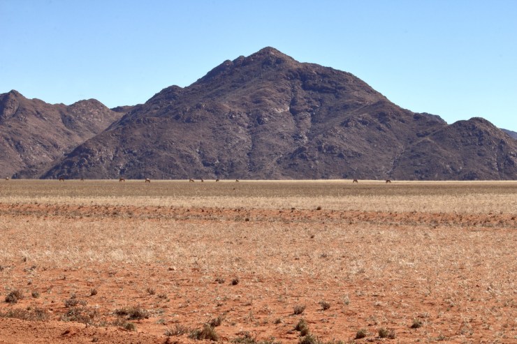 pf_paysage_MG_8955