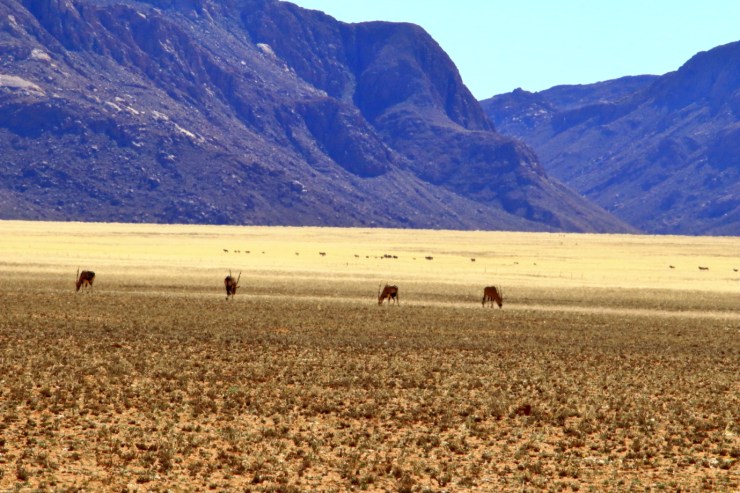 pf_paysage_MG_8971