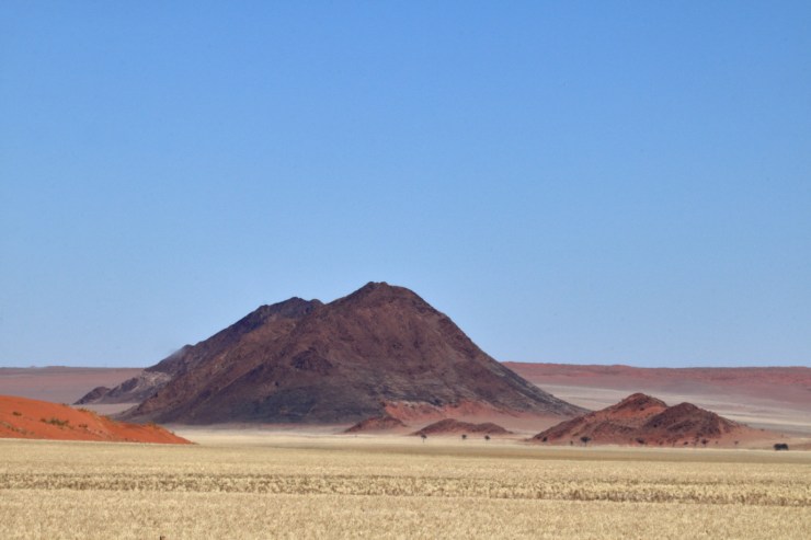 pf_paysage_MG_9015