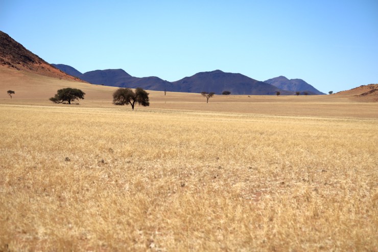 pf_paysage_MG_9047