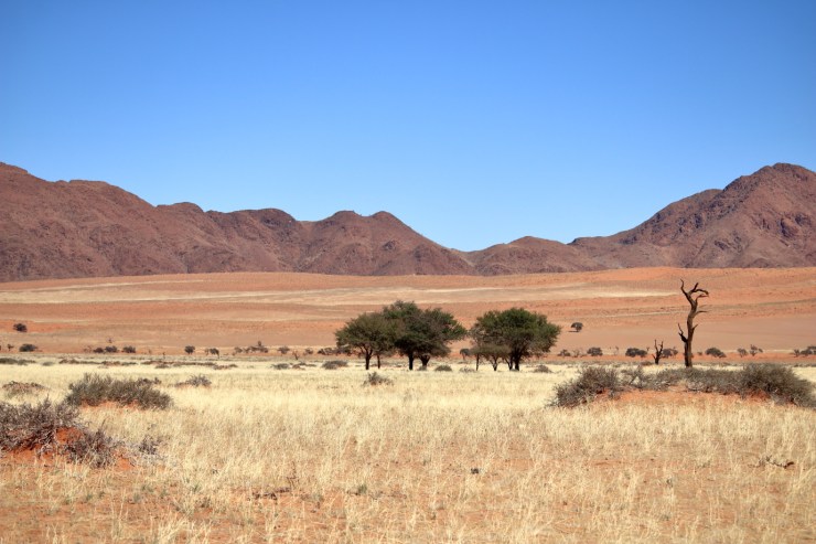 pf_paysage_MG_9054