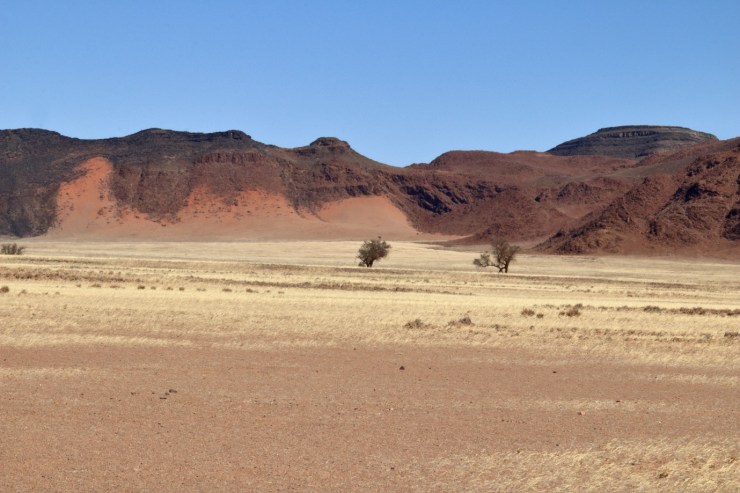 pf_paysage_MG_9130