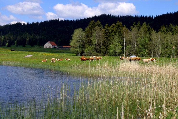 190530 - LACdesTAILLERES_MG_9372