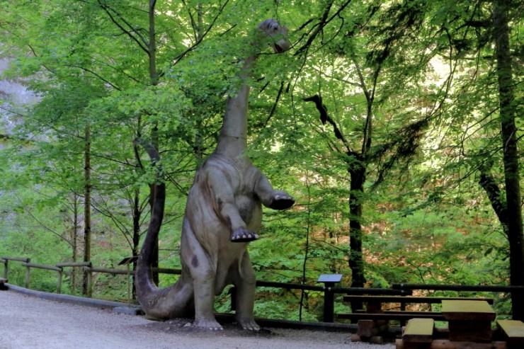 190601 - DINO_MG_9462